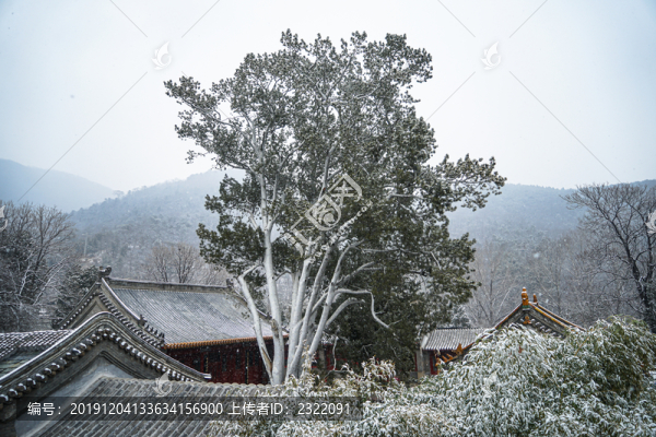 潭柘寺雪景大山古建筑雪景