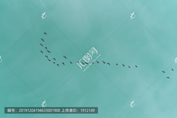善于發(fā)現(xiàn)美