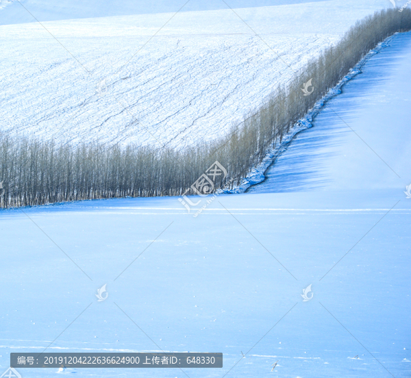 樹林風(fēng)光