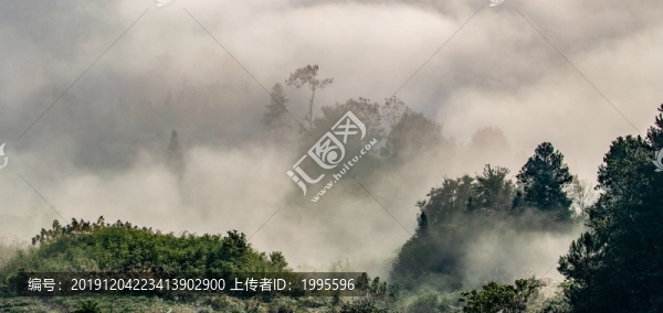 重慶南川云霧繪就山鄉(xiāng)生態(tài)畫