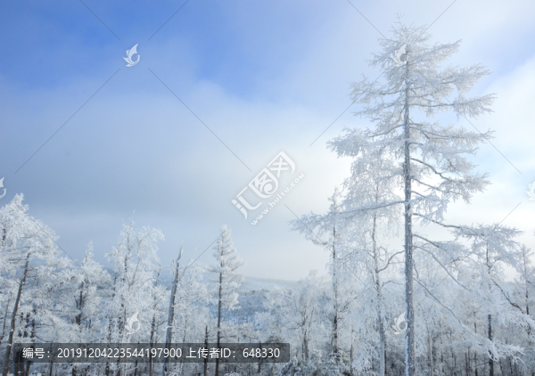 冬季雪原