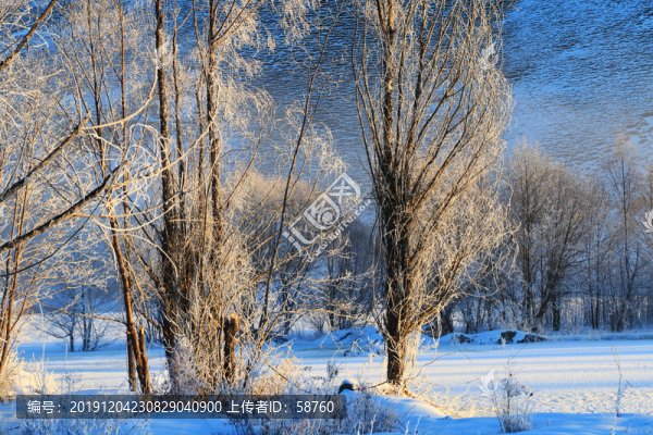 雪原樹林風(fēng)景
