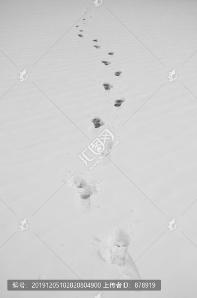 雪地腳印