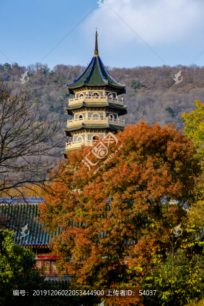 秋日的靈谷寺