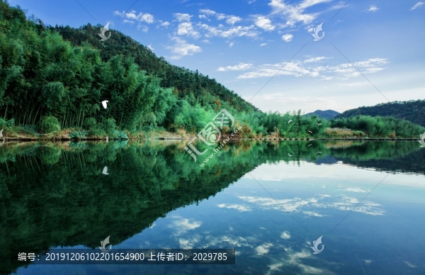 翠竹