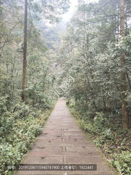 林中小道