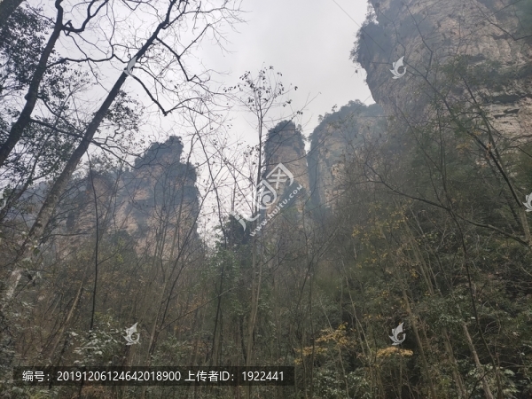 張家界森林公園