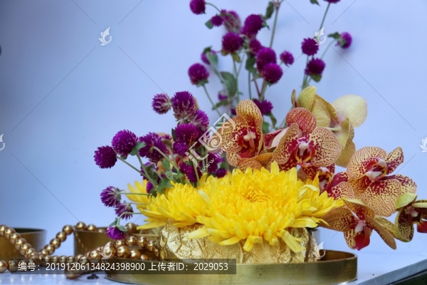 菊花