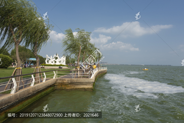 海埂公園自然風(fēng)光
