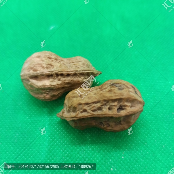 核桃