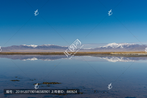 鹽湖