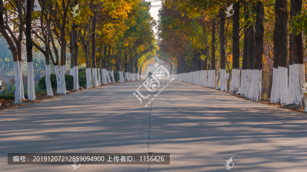 鄉(xiāng)村公路秋景