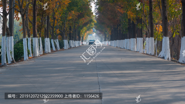 鄉(xiāng)村公路秋景