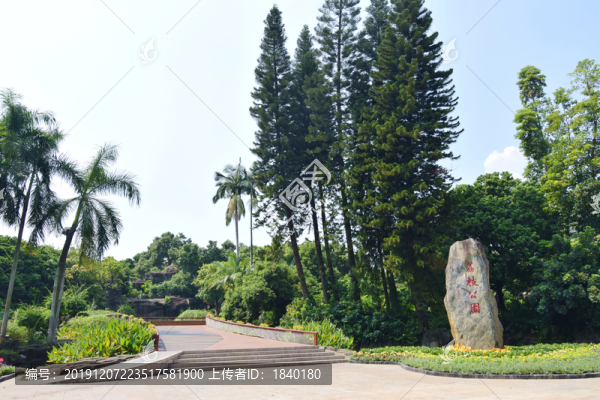 公園