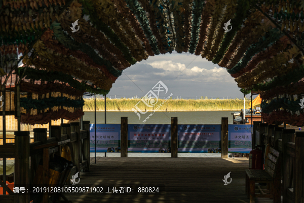 濕地