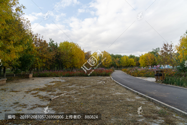 公園