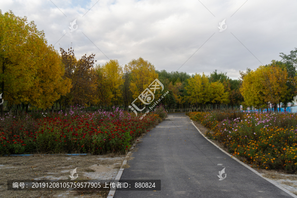 公園