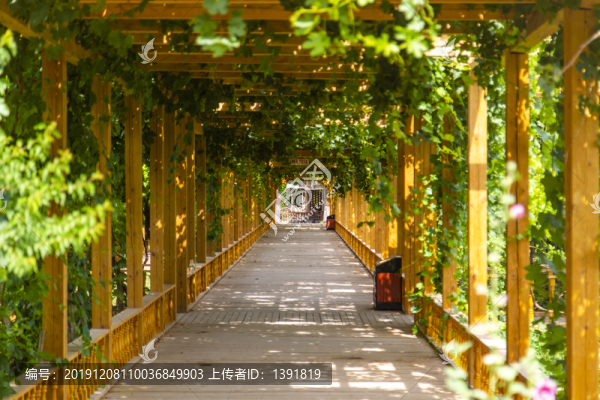 新疆吐魯番坎兒井樂園