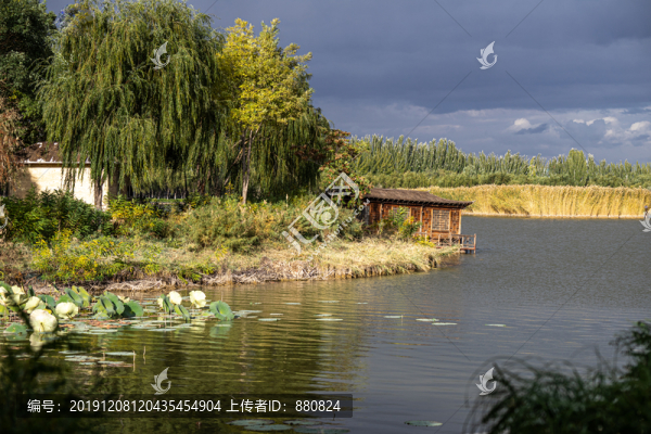 濕地公園
