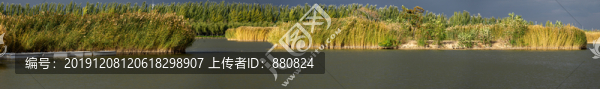濕地公園
