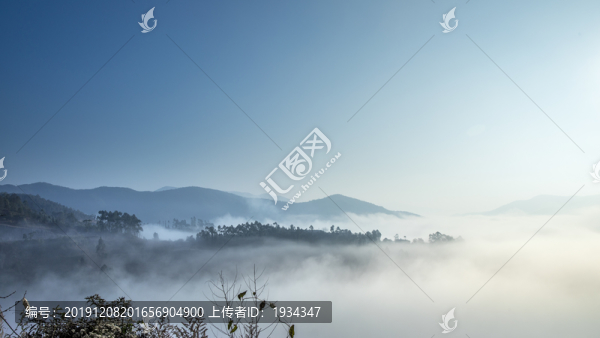 霧