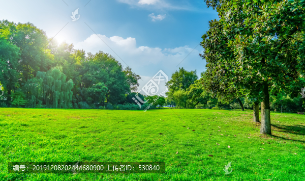 藍天草地綠樹林背景