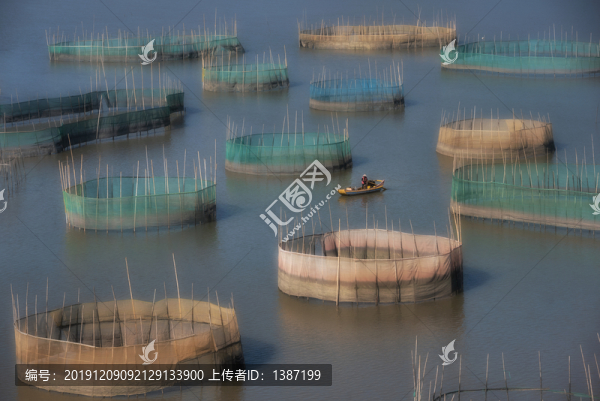 霞浦南灣圍網(wǎng)