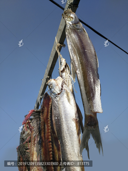 咸魚晾曬