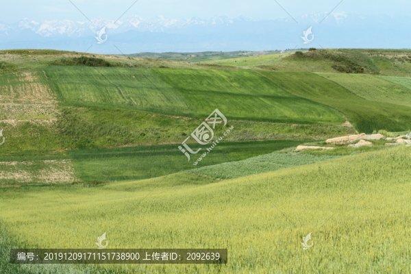 木壘田園風(fēng)光