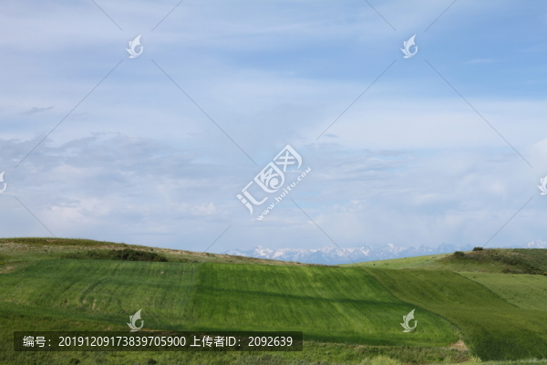 雪山麥浪風(fēng)光