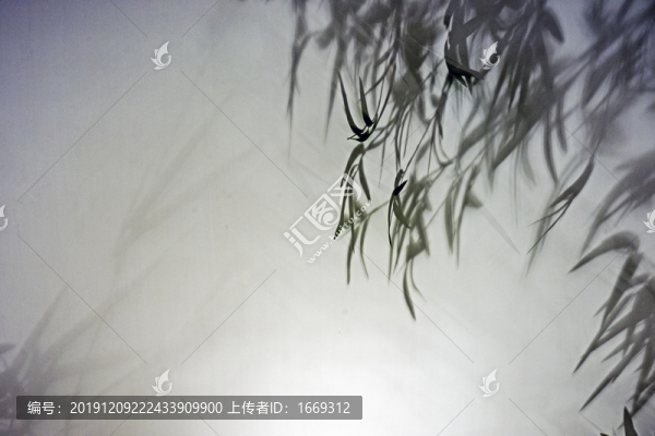 竹影