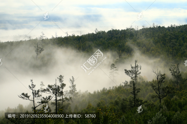 夢幻林海云霧