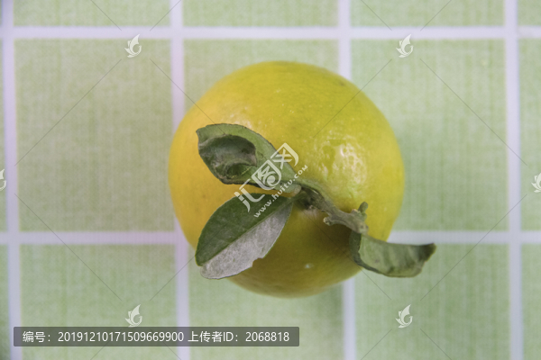 貢柑