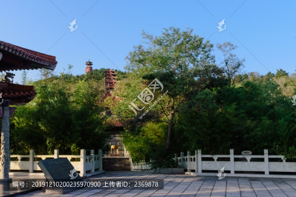 景區(qū)里的綠樹