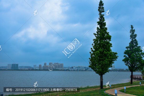城市公園邊的水杉樹(shù)