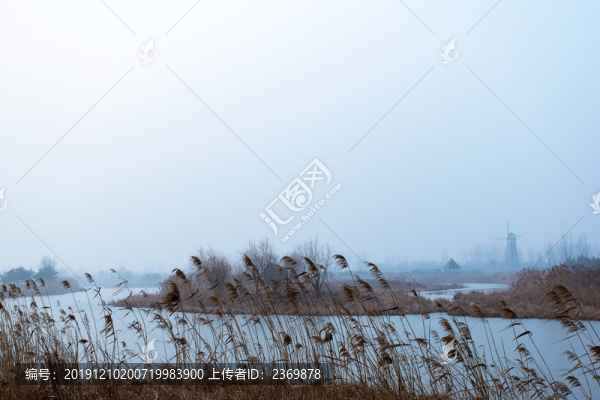 霧中的濕地公園