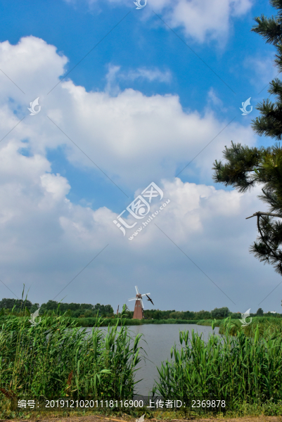 春天的濕地公園