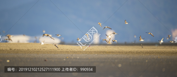 海岸