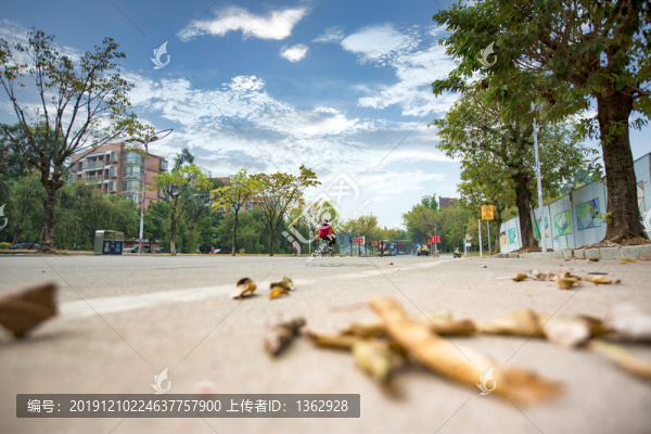 華農(nóng)風(fēng)光