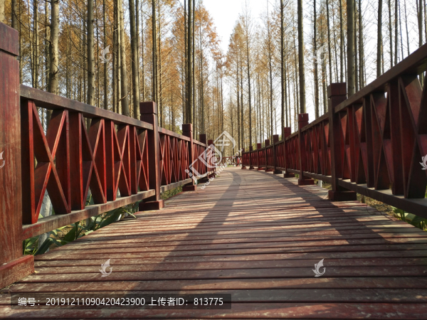 紅色木棧道