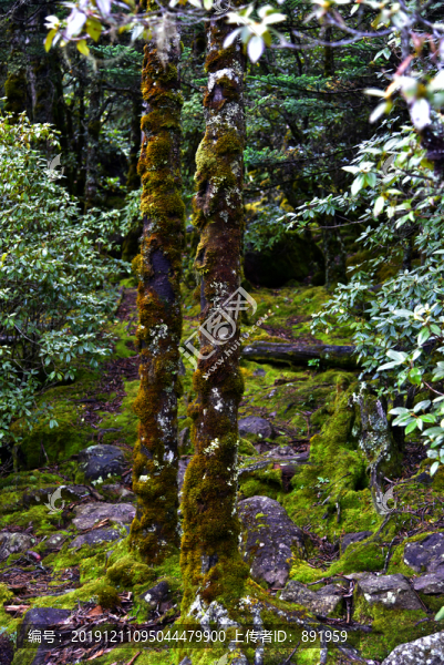 螺髻山高原湖泊森林風(fēng)光