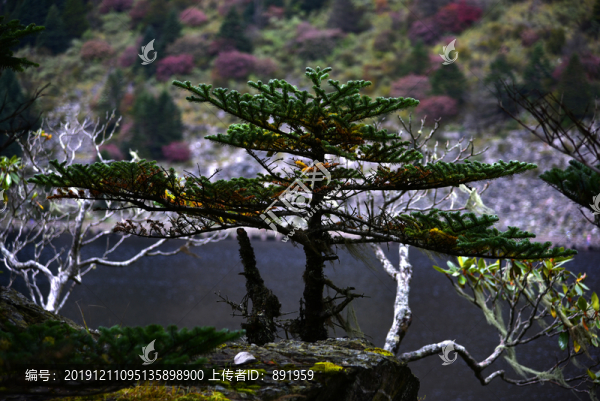 螺髻山高原湖泊森林風(fēng)光