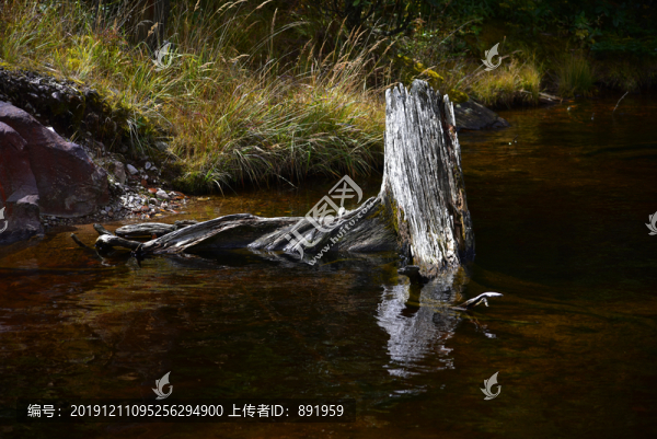 螺髻山高原湖泊森林風(fēng)光