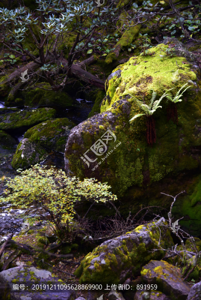 螺髻山高原湖泊森林風(fēng)光