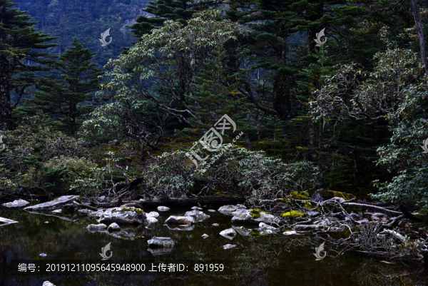 螺髻山高原湖泊森林風(fēng)光