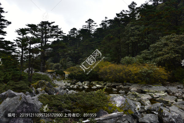 螺髻山高原湖泊森林風(fēng)光