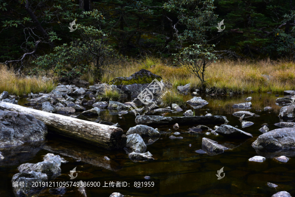 螺髻山高原湖泊森林風(fēng)光