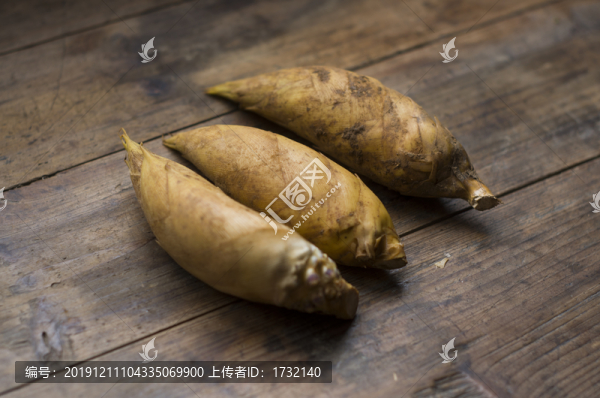 冬筍