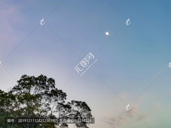 仰拍天空