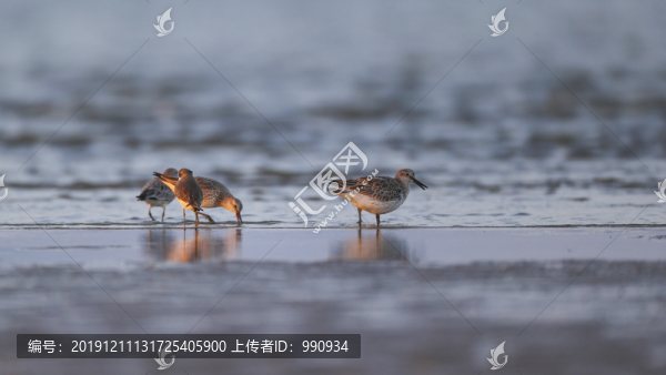 海邊